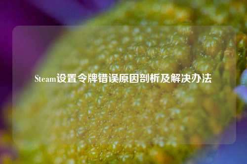 Steam设置令牌错误原因剖析及解决办法