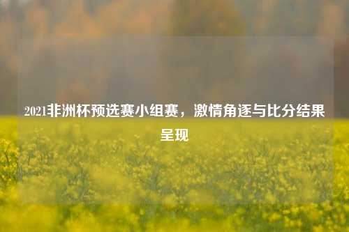 2021非洲杯预选赛小组赛，激情角逐与比分结果呈现