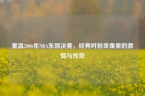 重温2006年NBA东部决赛，经典时刻录像里的激情与传奇