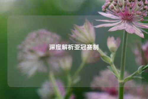 深度解析亚冠赛制