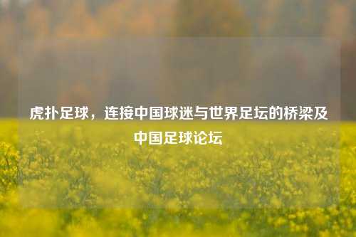 虎扑足球，连接中国球迷与世界足坛的桥梁及中国足球论坛