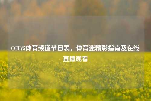 CCTV5体育频道节目表，体育迷精彩指南及在线直播观看