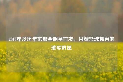 2013年及历年东部全明星首发，闪耀篮球舞台的璀璨群星
