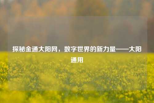 探秘金通大阳网,数字世界的新力量——大阳通用
