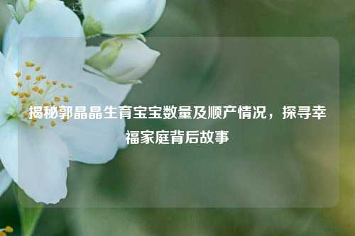 揭秘郭晶晶生育宝宝数量及顺产情况，探寻幸福家庭背后故事