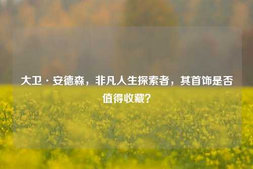 大卫·安德森，非凡人生探索者，其首饰是否值得收藏？