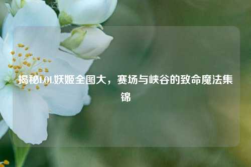 揭秘LOL妖姬全图大,赛场与峡谷的致命魔法集锦