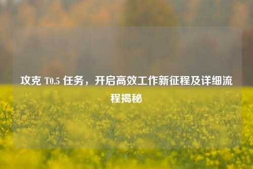 攻克 T0.5 任务，开启高效工作新征程及详细流程揭秘
