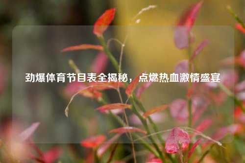 劲爆体育节目表全揭秘，点燃热血激情盛宴