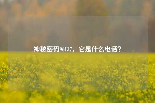 神秘密码96137，它是什么电话？
