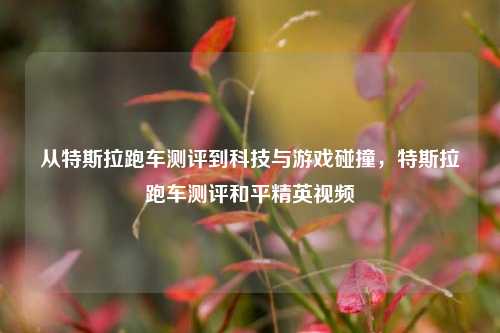 从特斯拉跑车测评到科技与游戏碰撞，特斯拉跑车测评和平精英视频