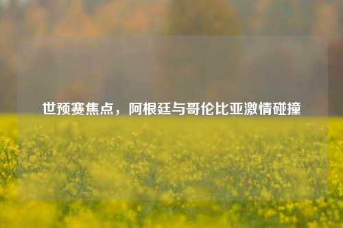 世预赛焦点,阿根廷与哥伦比亚激情碰撞