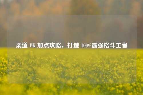 柔道 PK 加点攻略，打造 100%最强格斗王者