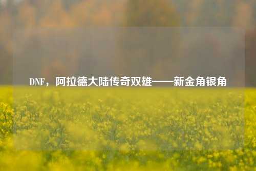 DNF，阿拉德大陆传奇双雄——新金角银角