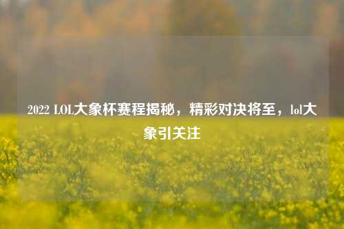 2022 LOL大象杯赛程揭秘,精彩对决将至,lol大象引关注