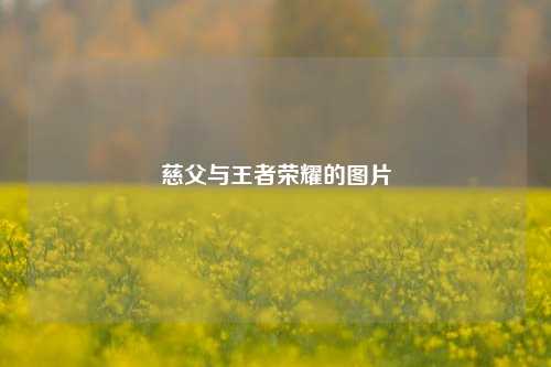 慈父与王者荣耀的图片