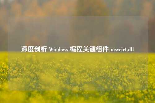 深度剖析 Windows 编程关键组件 msvcirt.dll