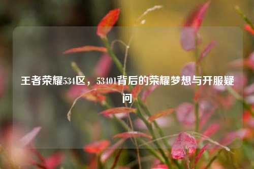 王者荣耀534区，53401背后的荣耀梦想与开服疑问