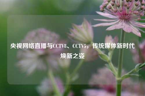 央视网络直播与CCTV8、CCTV5，传统媒体新时代焕新之姿