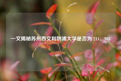 一文揭秘苏州西交利物浦大学是否为 211、985