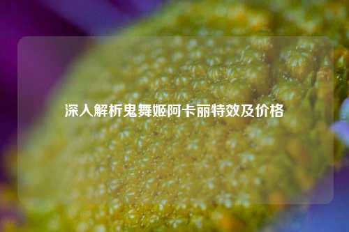 深入解析鬼舞姬阿卡丽特效及价格