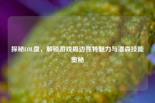 探秘LOL盘,解锁游戏周边独特魅力与潘森技能奥秘