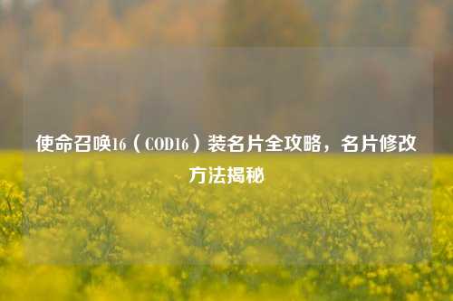使命召唤16(COD16)装名片全攻略,名片修改方法揭秘
