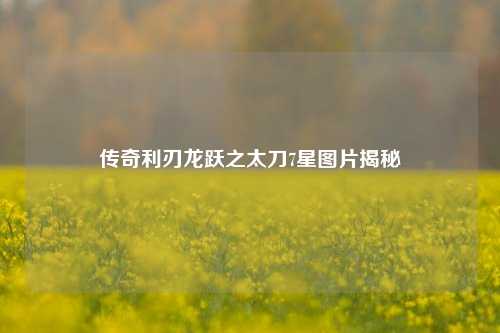 传奇利刃龙跃之太刀7星图片揭秘