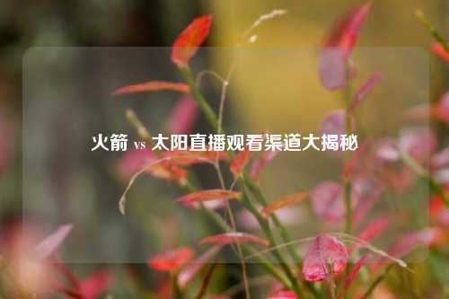 火箭 vs 太阳直播观看渠道大揭秘
