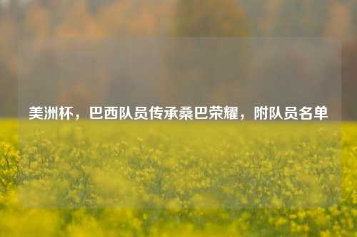 美洲杯，巴西队员传承桑巴荣耀，附队员名单