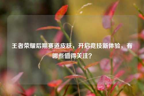 王者荣耀后期赛道皮肤,开启竞技新体验,有哪些值得关注?