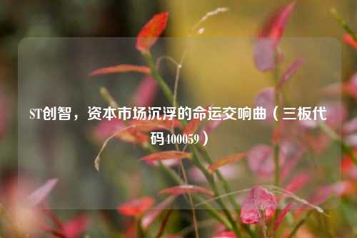 ST创智，资本市场沉浮的命运交响曲（三板代码400059）