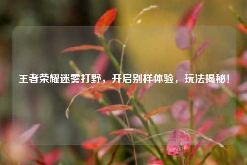 王者荣耀迷雾打野，开启别样体验，玩法揭秘！