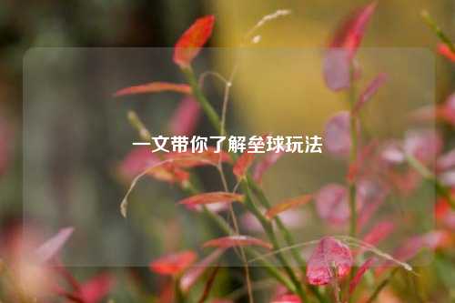 一文带你了解垒球玩法