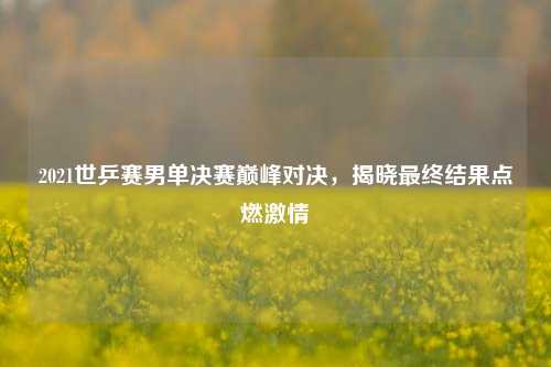 2021世乒赛男单决赛巅峰对决，揭晓最终结果点燃激情