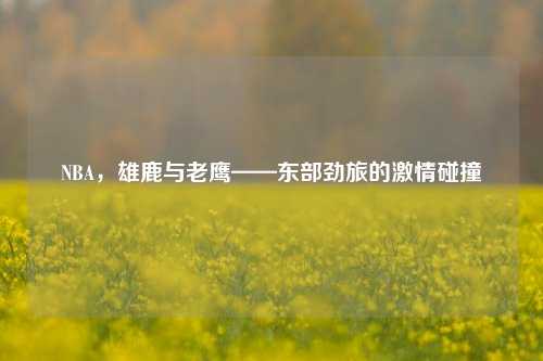 NBA,雄鹿与老鹰——东部劲旅的激情碰撞