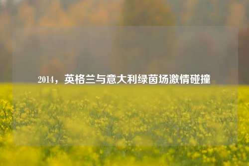 2014,英格兰与意大利绿茵场激情碰撞