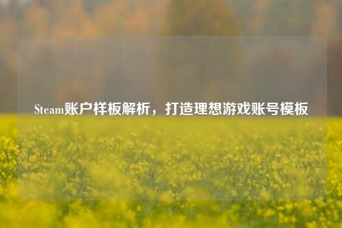 Steam账户样板解析，打造理想游戏账号模板