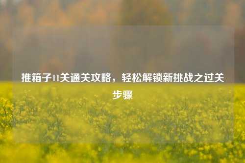 推箱子11关通关攻略，轻松解锁新挑战之过关步骤