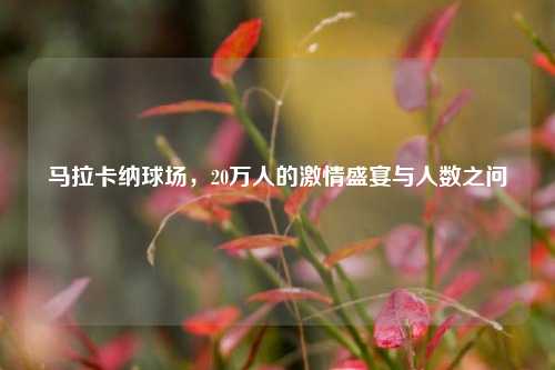 马拉卡纳球场,20万人的激情盛宴与人数之问