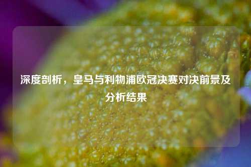 深度剖析,皇马与利物浦欧冠决赛对决前景及分析结果