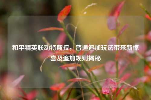 和平精英联动特斯拉,普通追加玩法带来新惊喜及追加规则揭秘