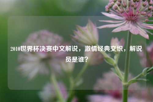 2010世界杯决赛中文解说,激情经典交织,解说员是谁?