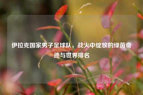 伊拉克国家男子足球队,战火中绽放的绿茵奇迹与世界排名