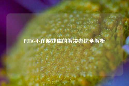 PUBG不在游戏库的解决办法全解析