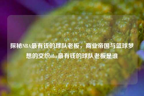 探秘NBA最有钱的球队老板,商业帝国与篮球梦想的交织nba最有钱的球队老板是谁