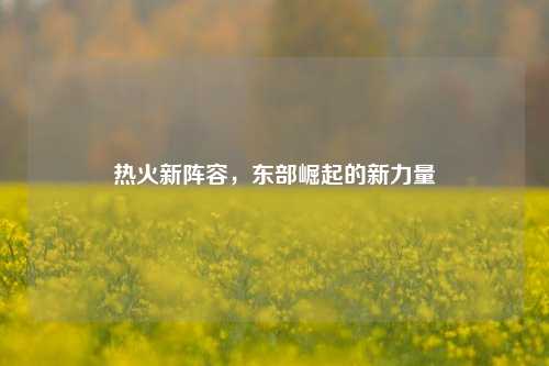 热火新阵容,东部崛起的新力量