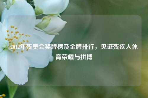 2012年残奥会奖牌榜及金牌排行，见证残疾人体育荣耀与拼搏