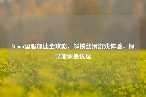 Steam国服加速全攻略,解锁丝滑游戏体验,探寻加速最优区