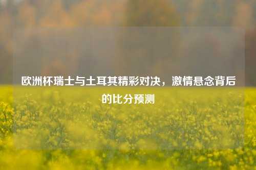 欧洲杯瑞士与土耳其精彩对决，激情悬念背后的比分预测